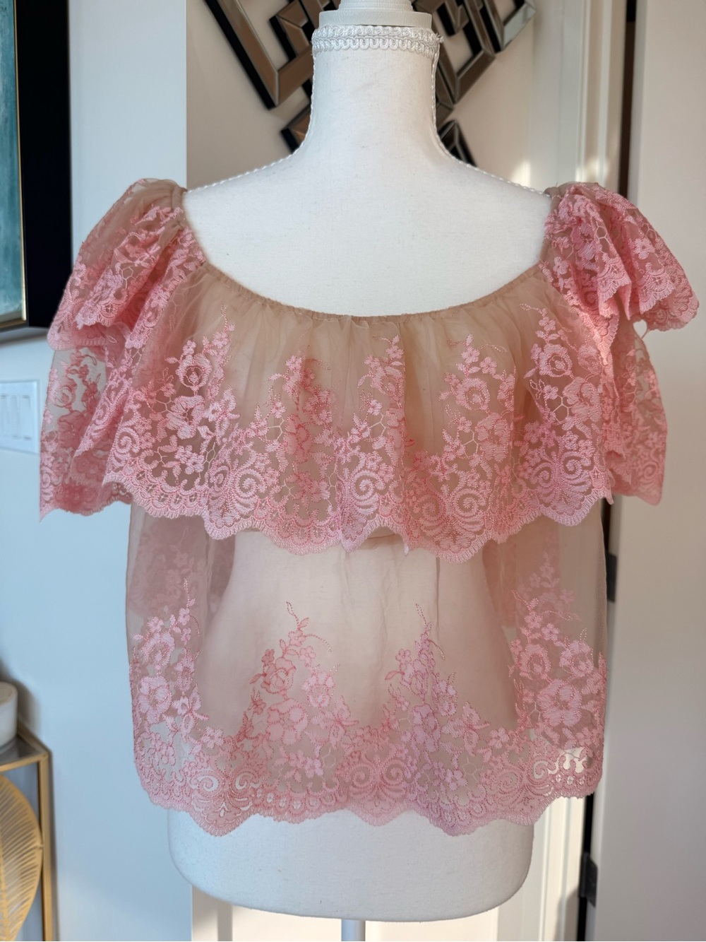 Zara Pink Sheer Lace Off-Shoulder top
